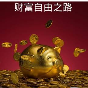 IT软件开发程序员的个人简历