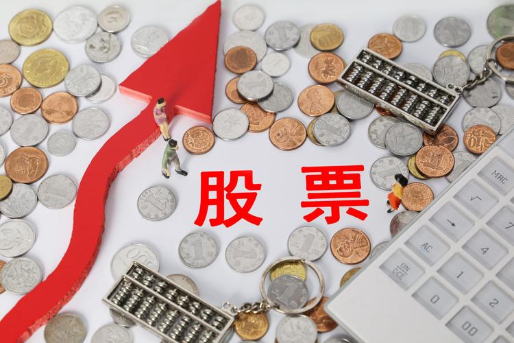 html中select的属性
