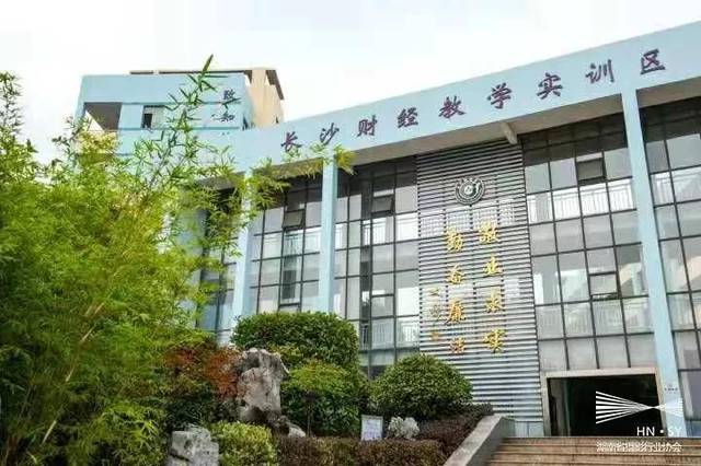 富文本编辑器差异比较