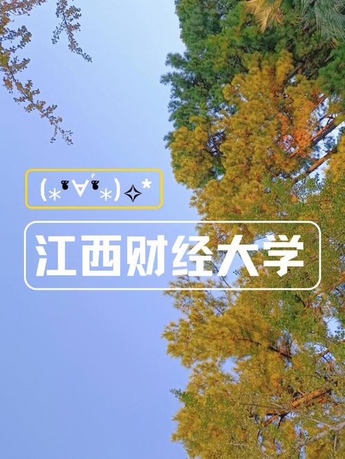 不同操作系统安装Java的具体操作及环境配置