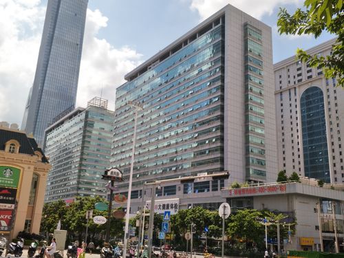 数据库基本知识和基础sql语句