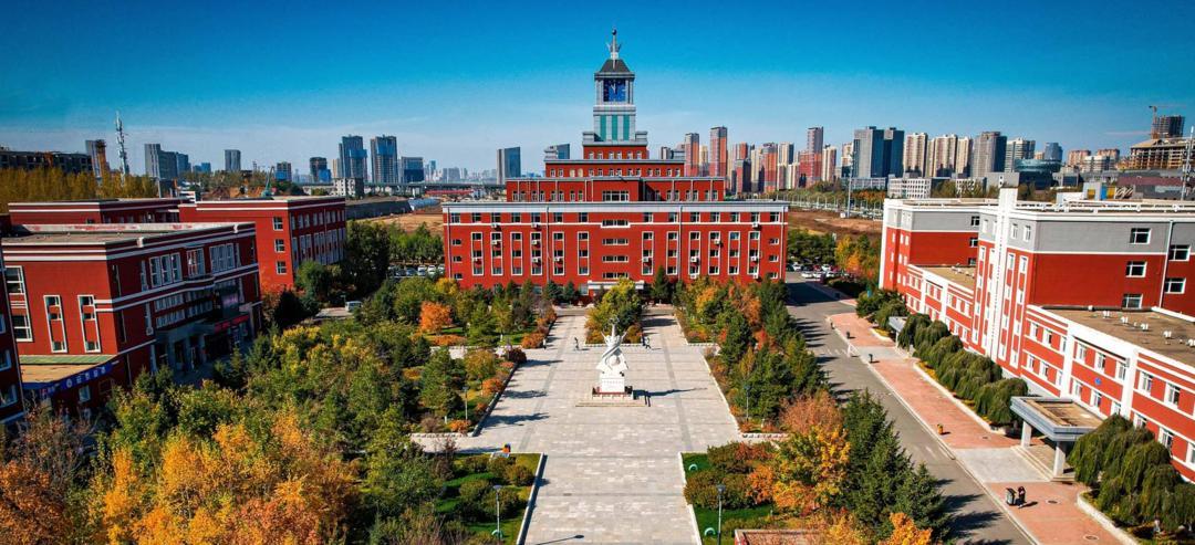 抖音改名为什么显示服务器升级中