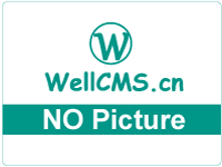 WordPress在小部件侧边栏中显示帖子(WordPress display posts in widgetsidebar)